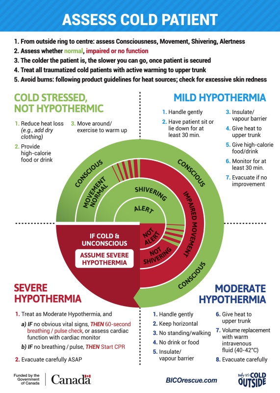 WMS Cold Card - Assessment
