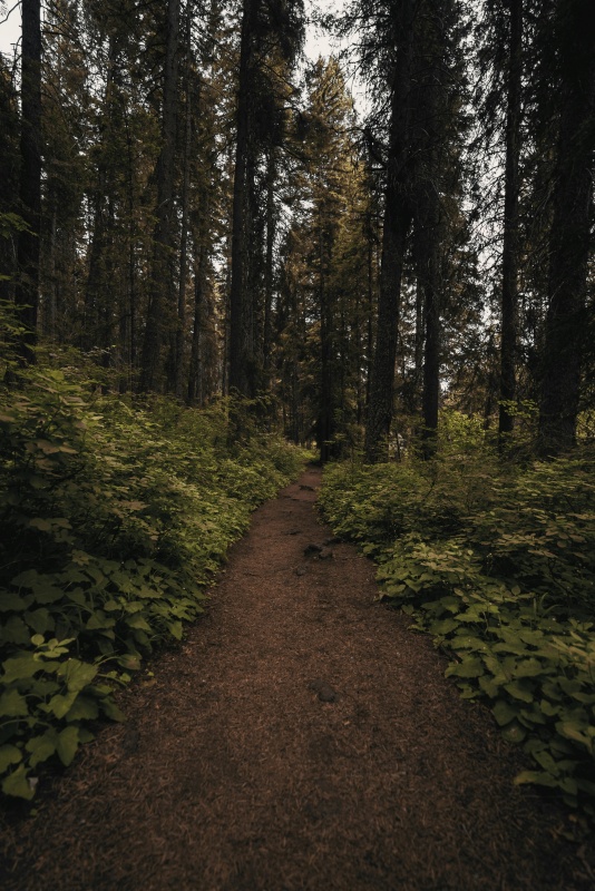 hiking in the pacific northwest