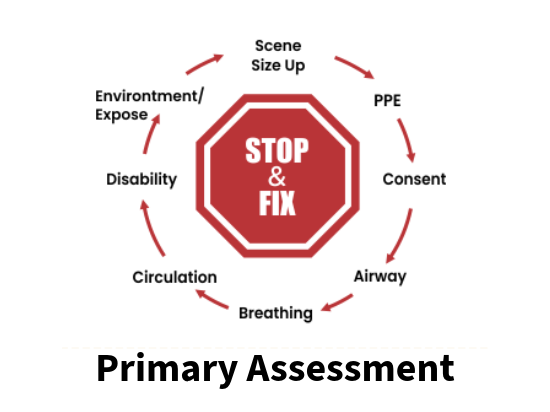 Primary Assessment